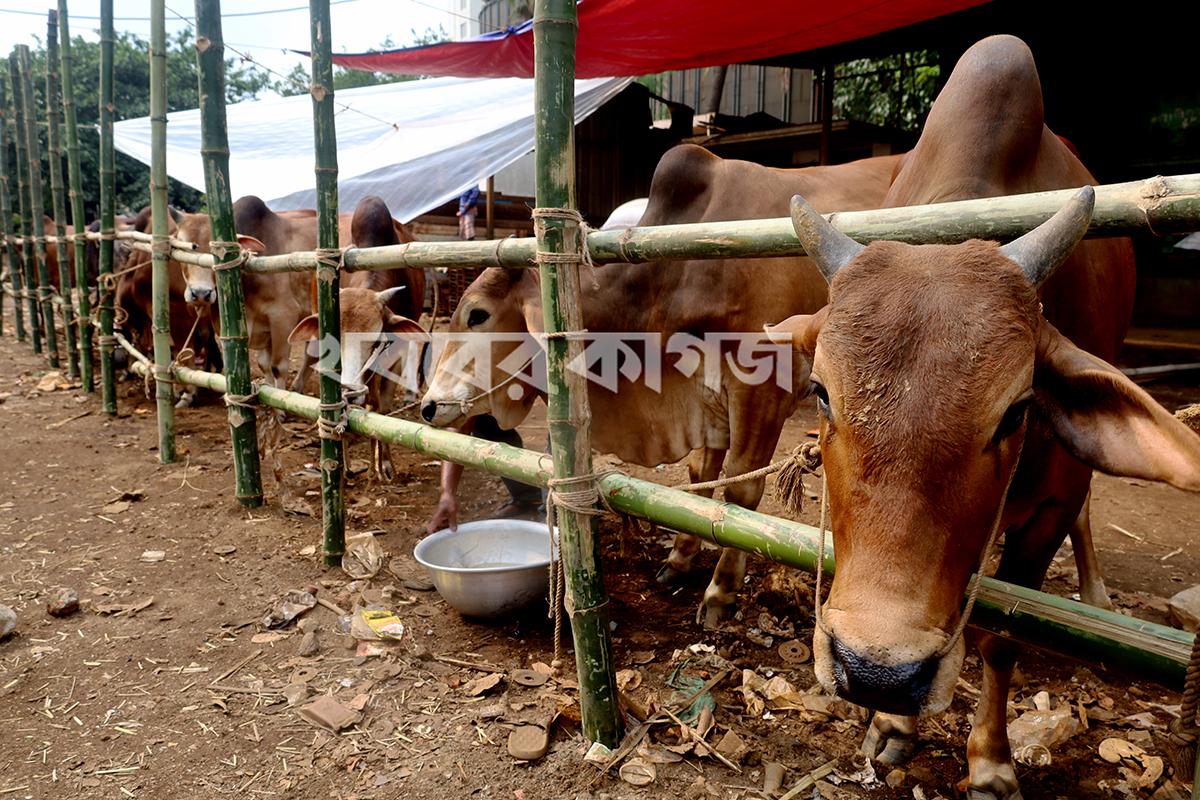 বাংলাদেশ মেডিকেল বিশ্ববিদ্যালয়ের স্টাফ কোয়ার্টার